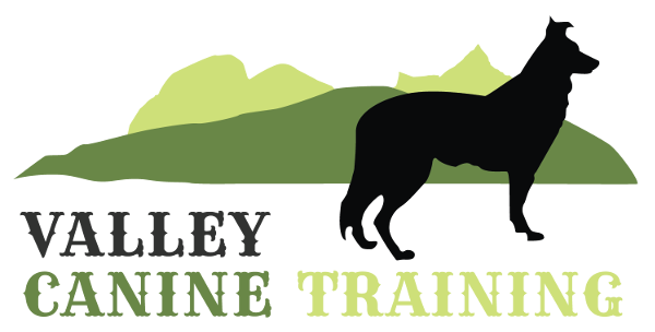 Home – Dog Training North Okanagan BC - Valley Canine Training