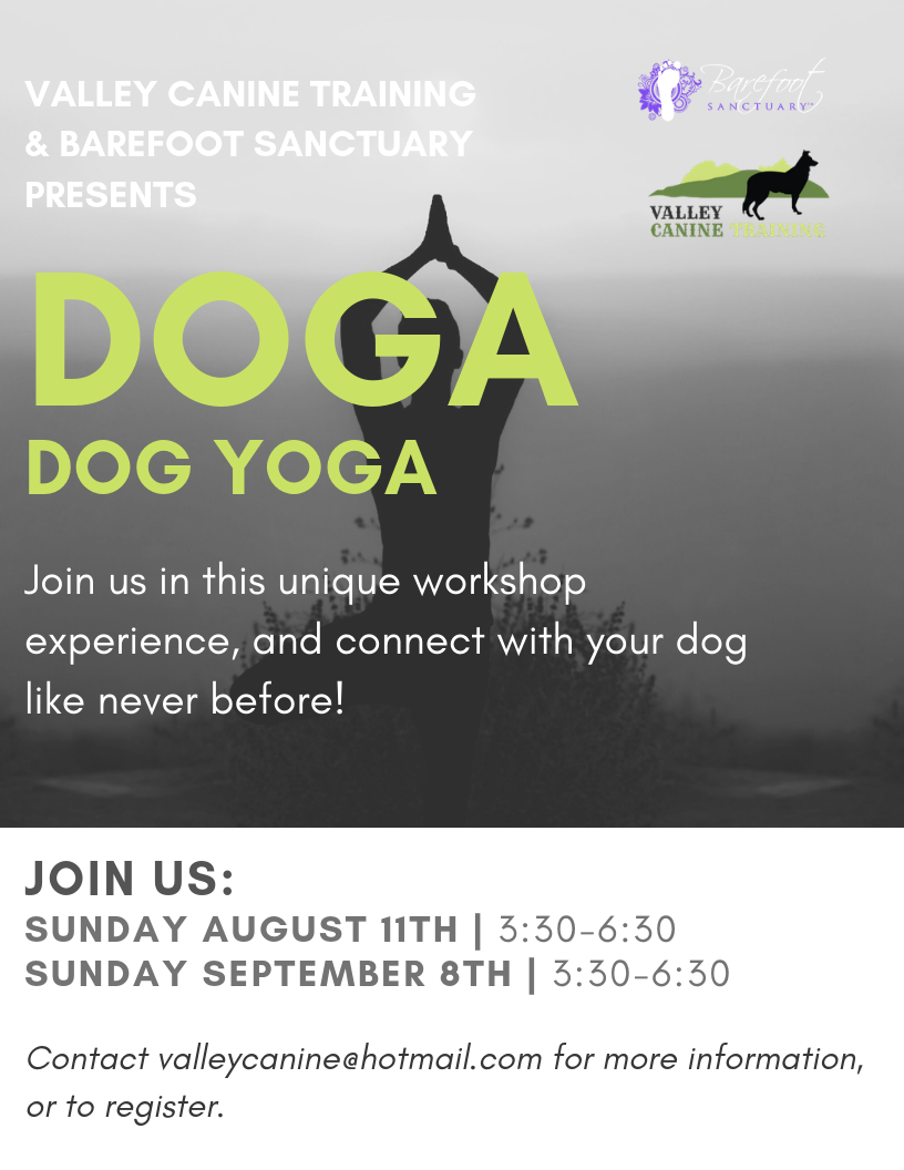 Doga Yoga! - Valley Canine Training